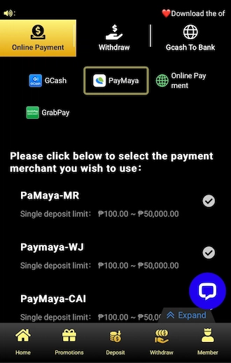 Step 1: Choose the PayMaya option.