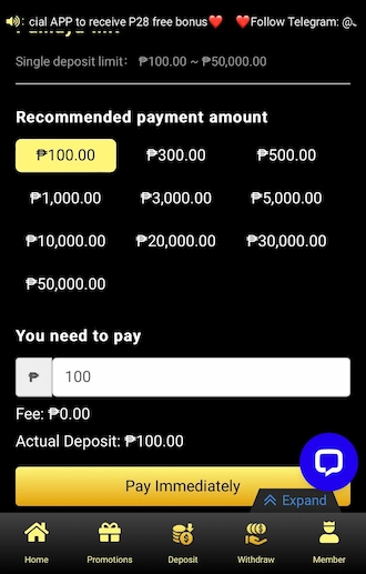 Step 2: Fill in the amount you want to pay via PayMaya.