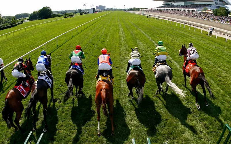 horse racing betting